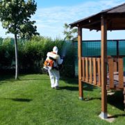 Echipa Avy DDD realizand servicii de dezinsectie in Craiova.