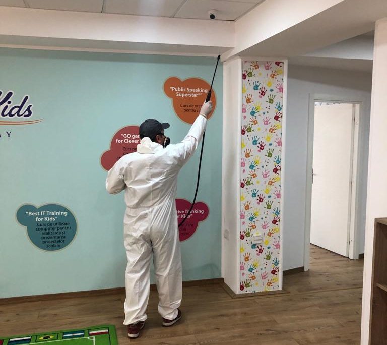 Servicii deratizare, dezinfectie,dezinsectie de la avy ddd craiova si oradea.