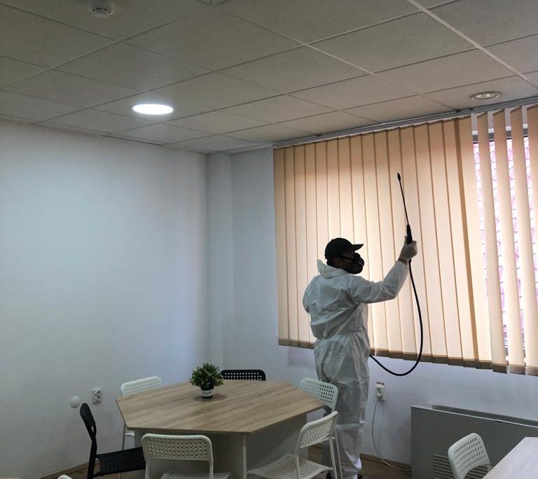 Echipa Avy DDD oferind servicii de deratizare in Oradea.