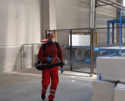 Servicii de deratizare in Oradea de la echipa Avy DDD.