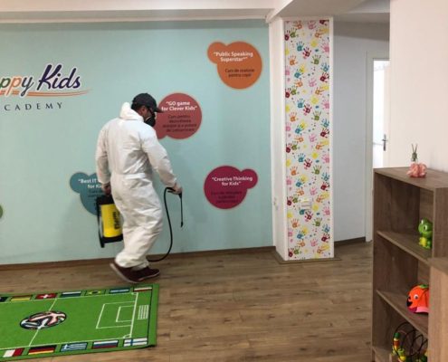 Servicii de dezinsectie oferite de Avy DDD in Craiova.