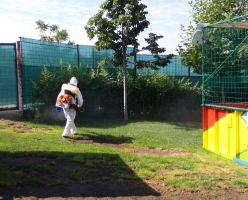 Firma de dezinsectie Oradea, Avy DDD.